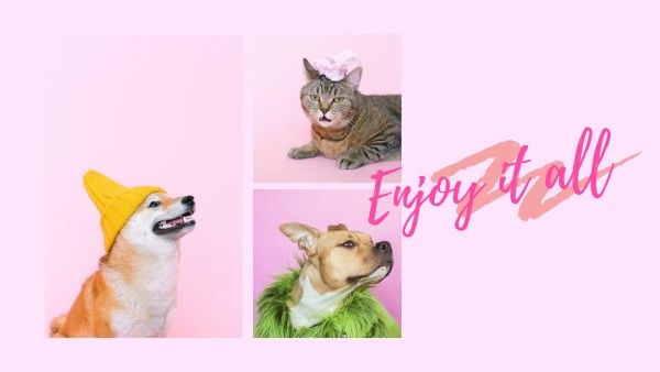pets, dog, cat, Pink Pet Wallpaper Desktop Wallpaper Template