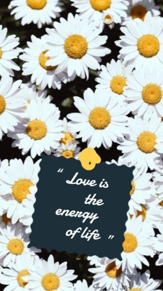 love, flower, floral, White And Yellow Daisy Wallpaper Mobile Wallpaper Template