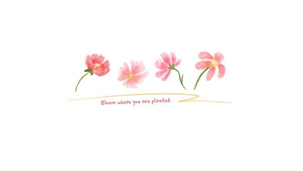 plants, blossom, life, Beautiful Pink Flower Desktop Wallpaper Template