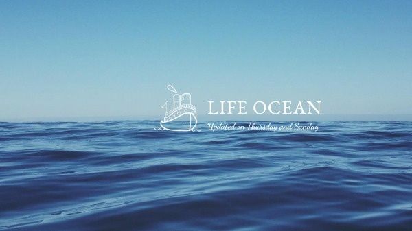 lifestyle, cool, water, Life Ocean Desktop Wallpaper Template