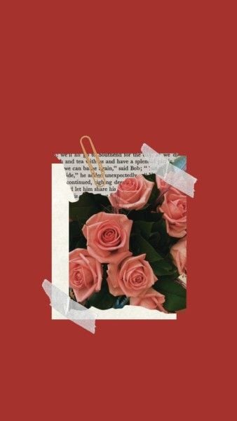 美丽的红玫瑰 手机壁纸