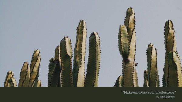 Dark Cactus Desktop Wallpaper Template and Ideas for Design | Fotor