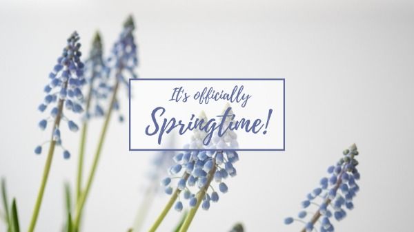 season, nature, spring time, Spring Style Desktop Wallpaper Template