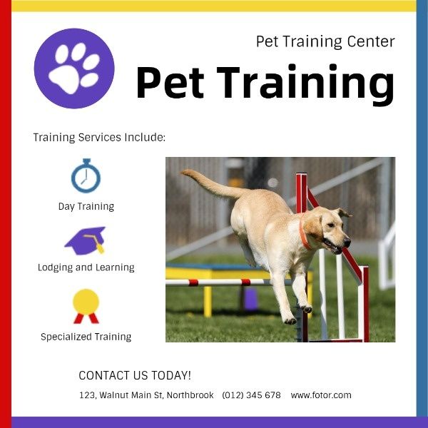 animal, pet center, service, White Pet Training Ads Instagram Post Template