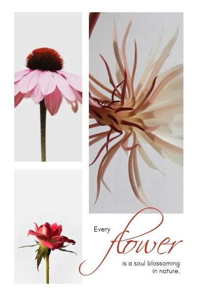 blossoming, inspiration, encouragement, Flower Blossom Pinterest Post Template