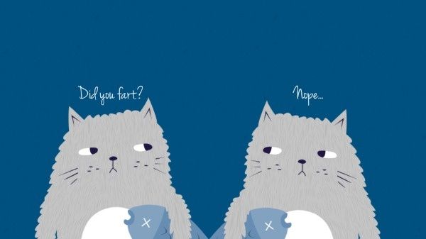 kitty, pet, animal, Fun Cat Meme Desktop Wallpaper Template