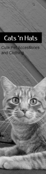 猫帽 擎天广告