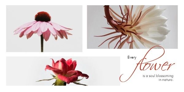 blossoming, inspiration, floral, Flower Blossom Twitter Post Template