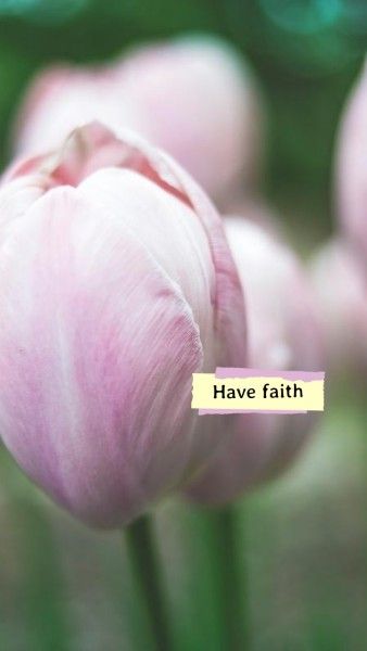 720p, flowers, faith, Pink Life Quote Wallpaper Mobile Wallpaper Template