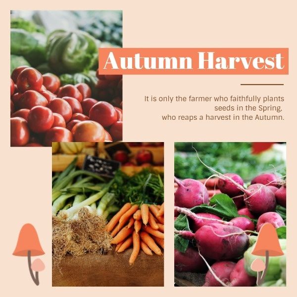life, inspiration, quote, Autumn Harvest Instagram Post Template