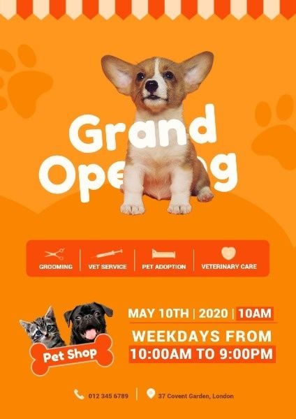 pets, shops, openings, Pet Store Grand Opening Poster Template