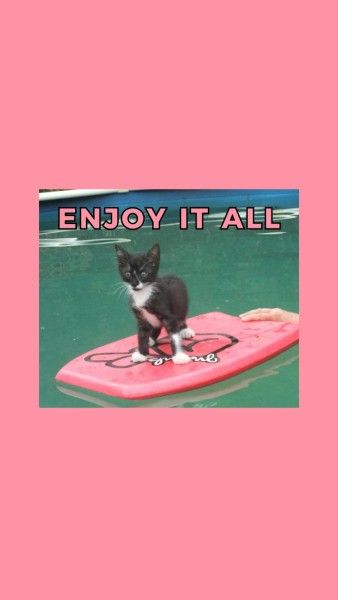 quote, pool, life, Pink Cat Swimming Wallpaper Mobile Wallpaper Template