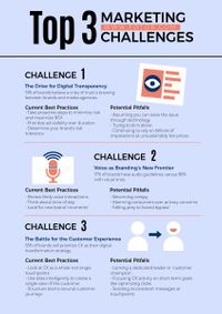 information, digital marketing, challenge, Marketing Infographics Poster Template