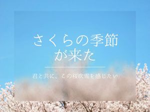 view, flower, japanese, Blue Sakura Season Card Template