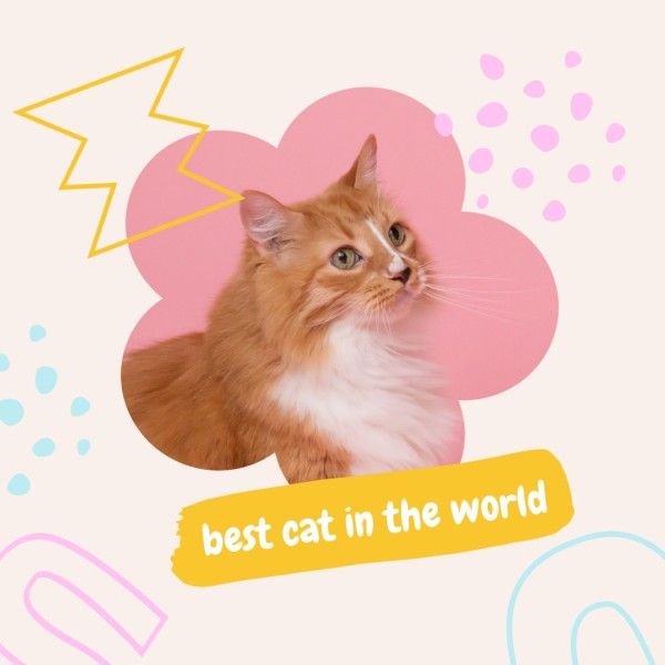 pets, pet, photo, Simple Cute Cat Instagram Post Template