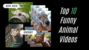 Funny Animal Videos Thumbnails Youtube Thumbnail Template and Ideas for  Design | Fotor