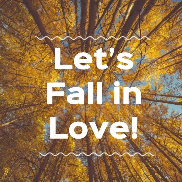 黄色の秋の風景インスタグラム投稿 Instagram投稿