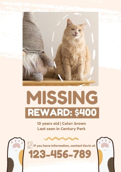 pet, reward, find, Beige Missing Cat Poster Template