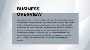 Gray Critical Business Plan Presentation