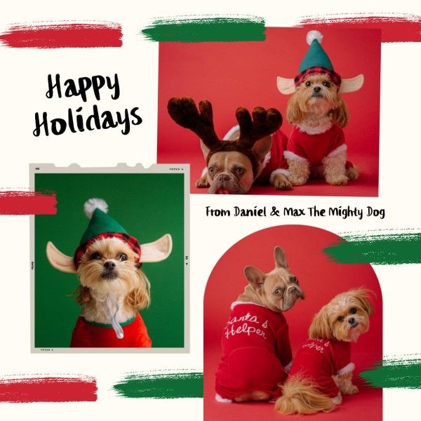 merry christmas, happy, holiday, Red Christmas Pet Poppy Collage Photo Collage (Square) Template