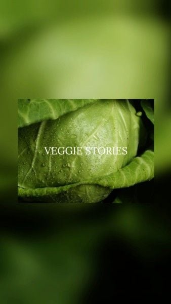 绿色蔬菜故事 Instagram快拍