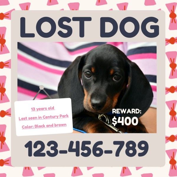 pet, missing, find, Pink Lost Dog Instagram Post Template