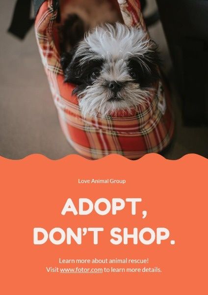 Cute Dog Adoption Poster