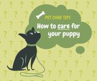 Lovely Pet Care Tips Facebook Post