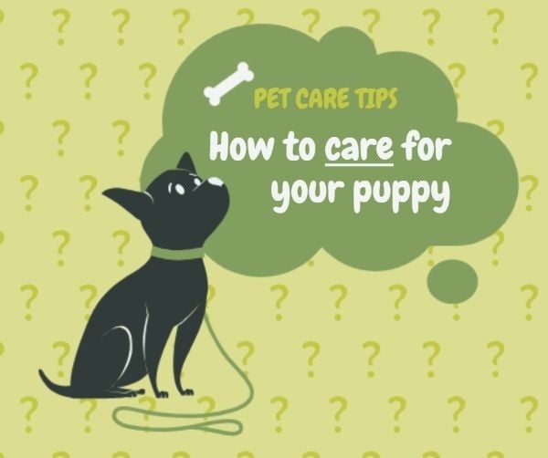 puppy, dog, take care, Lovely Pet Care Tips Facebook Post Template