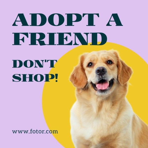 dog,  pets, adoption, Purple And Yellow Modern Adopt A Pet Instagram Post Template