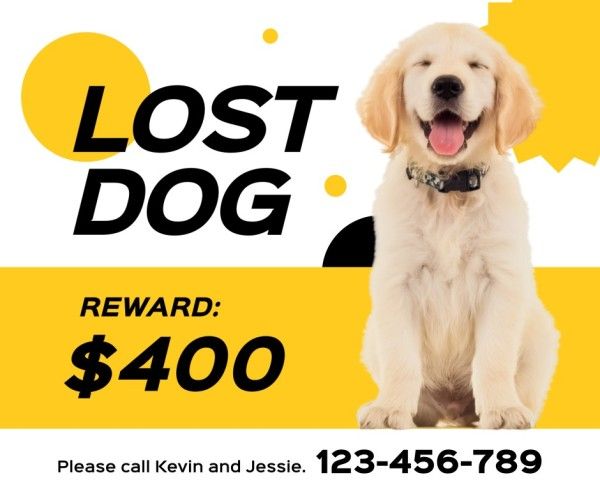 poster, puppy, animal, Yellow Lost Dog Search Notice Facebook Post Template