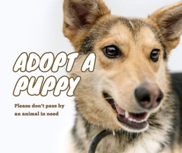 animal, dog, pet, White Adopt A Puppy Facebook Post Template