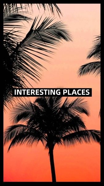 view, summer, coconut tree, Find A Interesting Place Instagram Story Template