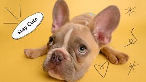 dog, pet, animal, Yellow Cute Puppy Zoom Background Template