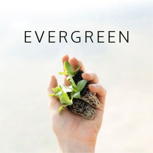 life, lifestyle, nature, Evergreen ETSY Shop Icon Template