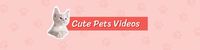 cat, studio, company, Cute Pets Videos LinkedIn Background Template