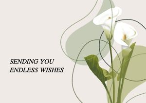 White Spring Floral Wishes Postcard
