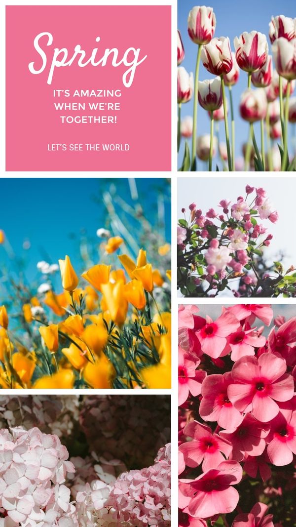 spring, flower, floral, Created By The Fotor Team Template