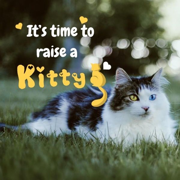 cat, love, heart, Raising A Kitty Vlog Instagram Post Template