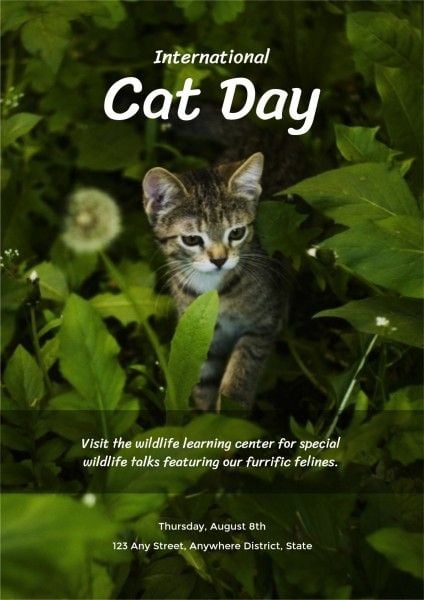 international cat day, wildlife, photo, Cat Day Poster Template