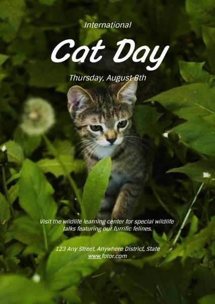 international cat day, animal, pet, Cat Day Poster Template