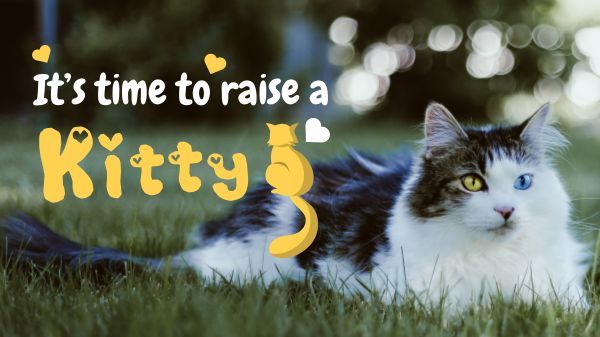 cat, pet, raise a kitty, Raising A Kitty Vlog Youtube Thumbnail Template