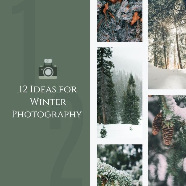 shoot, snapshot, guide, Ideas For Winter Photography Instagram Post Template