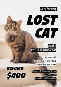 Free Missing Cat Poster Templates to Design and Customize for Free | Fotor