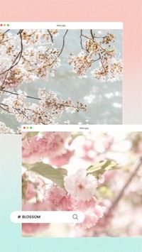 cherry, sakura, flower, Pink Blue Soft Gradient Ui Spring Blossom Travel Instagram Story Template