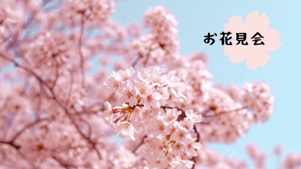 Beautiful Pink Sakura Zoom Background