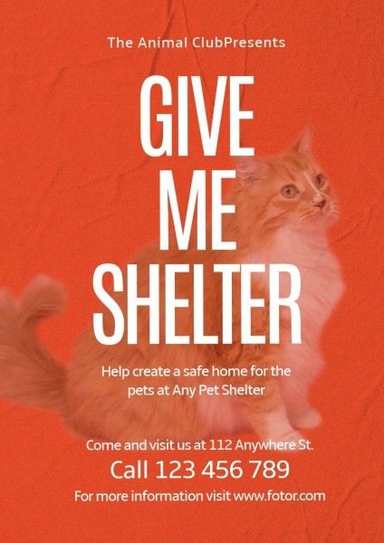 help animal, cat, help pet, Red Animal Pet Shelter Help Poster Template