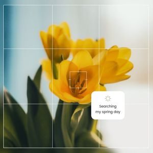 カスタマイズ可能な黄色の最小花の春の写真のコラージュinstagram投稿のテンプレート Fotorデザインツール カスタマイズ可能な黄色の最小花の春の写真のコラージュinstagram投稿のテンプレート Fotorデザインツール