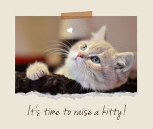 キティのブイログを育てる Facebook投稿