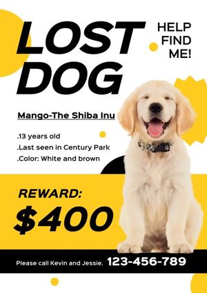 puppy, animal, help, Yellow Lost Dog Search Notice Poster Template